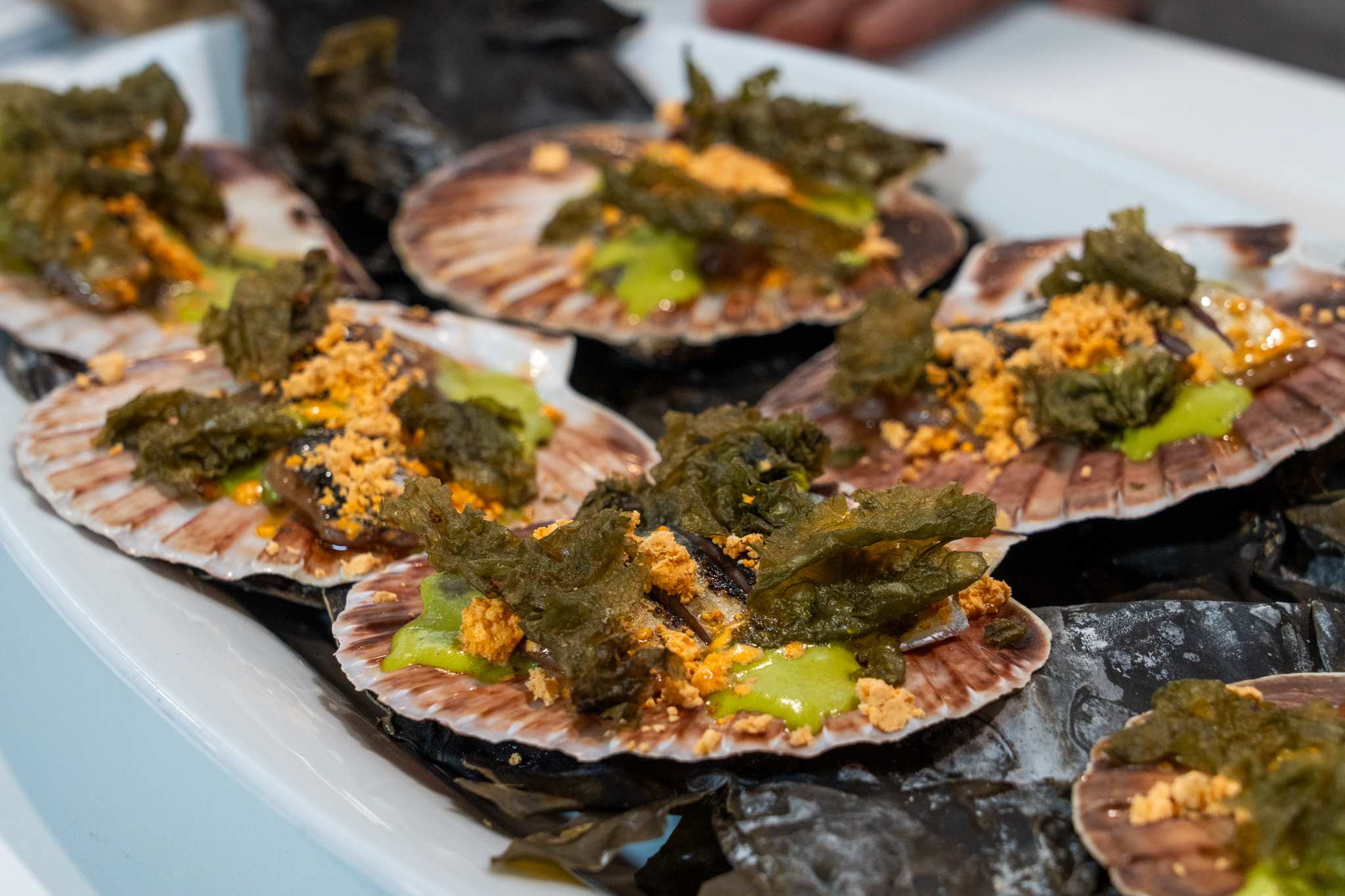 Madrid Fusión A Coruña | Eventos gastronómicos y promoción turística